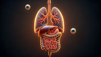 Nourish Your Inner Systems: Eat Smart for Optimal Lung, Liver, Gut, and Eye Health