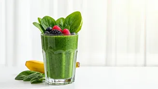 Understanding the Vitality of a Healthy Lifestyle