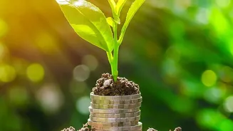 Why Investors Are Becoming More Selective With Indian Startups