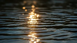 Pisces Horoscope: Your Daily Outlook