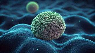 The Gut Health Revolution Is Here