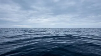 What The Deep Sea Reveals About Heat, Carbon And Climate