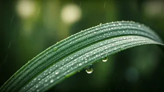 Rainy Weather Calls For Smarter Skincare Choices