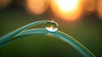 Unlock Life's Brilliance: Jon Kabat-Zinn's Wisdom on Mindfulness, Love, Clarity, and Compassion