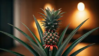 Ornamental Pineapples Make Plant Parenting Less Boring