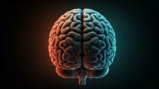 Daily Astrological Insights: October 28, 2025