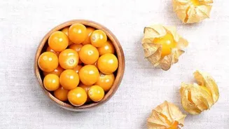 Top health benefits of cape gooseberry