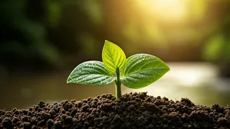 Beyond the Multivitamin: Unlocking Lasting Energy for Women