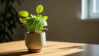 Transform Your Life: 3 Habits for a Better You in 30 Days!