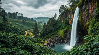 Why Coorg Rain Soaked Scenery Is Total Instagram Magnet