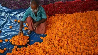 Onam flower prices spike across Kerala, Kochi vendors fear losses
