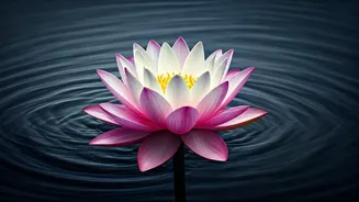 Bhagavad Gita: Cultivate Unshakeable Dignity Amidst Emotional Storms