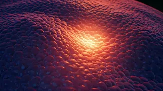 AI Medical Tech Helps Radiologists Detect Microscopic Tissue Defects Early
