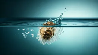 Nature's Solution: How Moringa Seeds Tackle Microplastic Pollution in Water