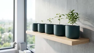 Build emergency funds with FD laddering
