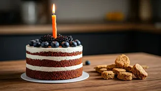 Ditch Processed Treats, Try Curated Organic Birthday Pet Bakeries Daily