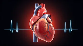 Know Heart Failure Early Signs and Prevention