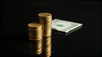 Indian Rupee's Rise: Decoding Market Dynamics