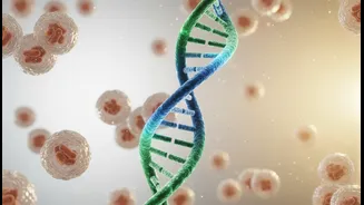 What new semaglutide clinical trials reveal about extending healthy human lifespan prospects