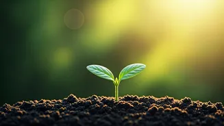 6 Essential Parenting Principles for Raising Kinder, More Patient Children