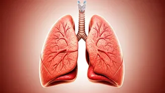 Eat These Foods for Better Lung Health