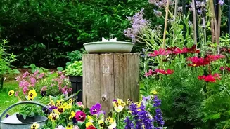 Why The Latest August Gardening Advice Strengthens The Case For Buying Beyond Current Blooms