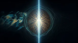 Related Stories banner