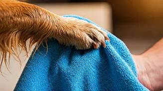 Microfiber Pet Towels Easily Handle Muddy Dog Paws Tonight