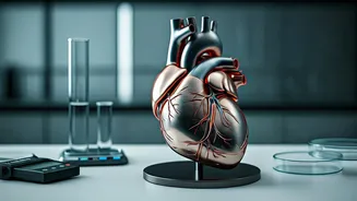 Longevity Boost: The Science of Strength & Health