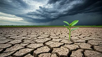 Food Prices Are The Monsoon Story To Watch