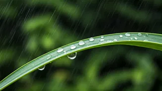Stay Strong Through Monsoon With These Habits
