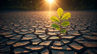 5 Subtle Signs Your Parenting Success is Shining Through (Even When It Feels Like It's Not)