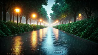 City Nature Feels Different When Rains Arrive