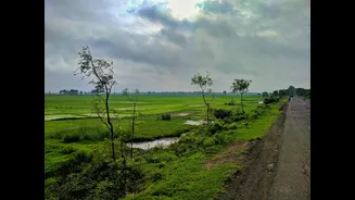 Navigating Health Challenges During India's Monsoon Season