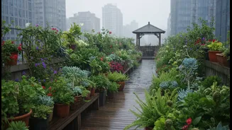The Rooftop Plant Trend Worth Watching This Monsoon