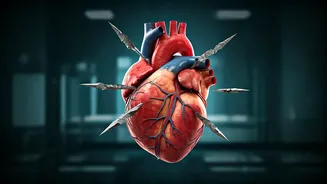 Related Stories banner