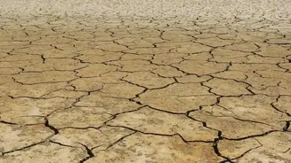 El Niño Watch Intensifies After Central Pacific Waters Reach New High