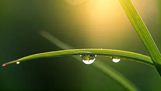 Mindfulness Habits Are Moving Into Micro-Moments