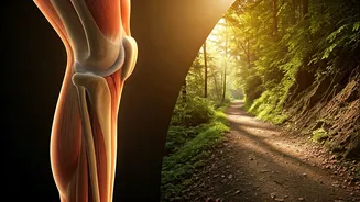 Earthen Path Trail Running Protects Your Knees Better
