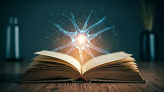 Related Stories banner