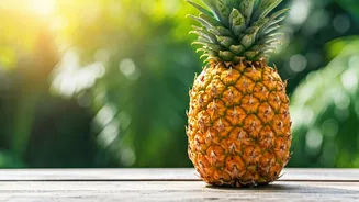 9 Best Things to Do in San Juan, Puerto Rico