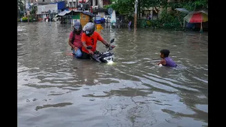 India's Disaster Management Framework: Key Institutions and Evolution
