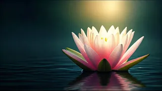 Sita Navami 2026: Unveiling the Sacred Rituals and Profound Significance