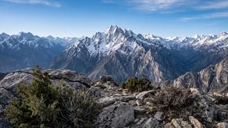 Ladakh snow leopard safaris boost tourism