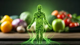Lean Living Secrets: Lessons from Countries with Low Obesity Rates