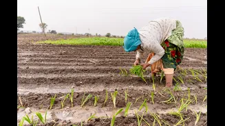 India Announces Key Agricultural Reforms to Empower Farmers
