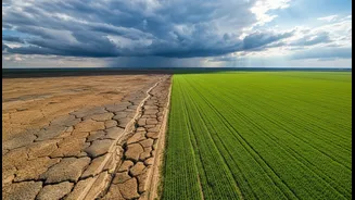 India's Weather Explained Through The Lens Of El Niño