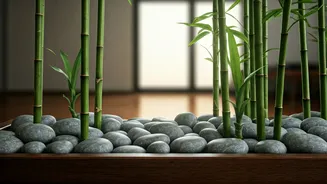 Urban Homes Upgrade Aesthetics With Pebble Bamboo Indoor Zen Gardens