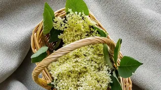 How Woven Baskets Can Warm Up Neutral Interior Palettes With Natural Organic Fibres