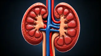 Water Fasting: 3 Days, What Happens?